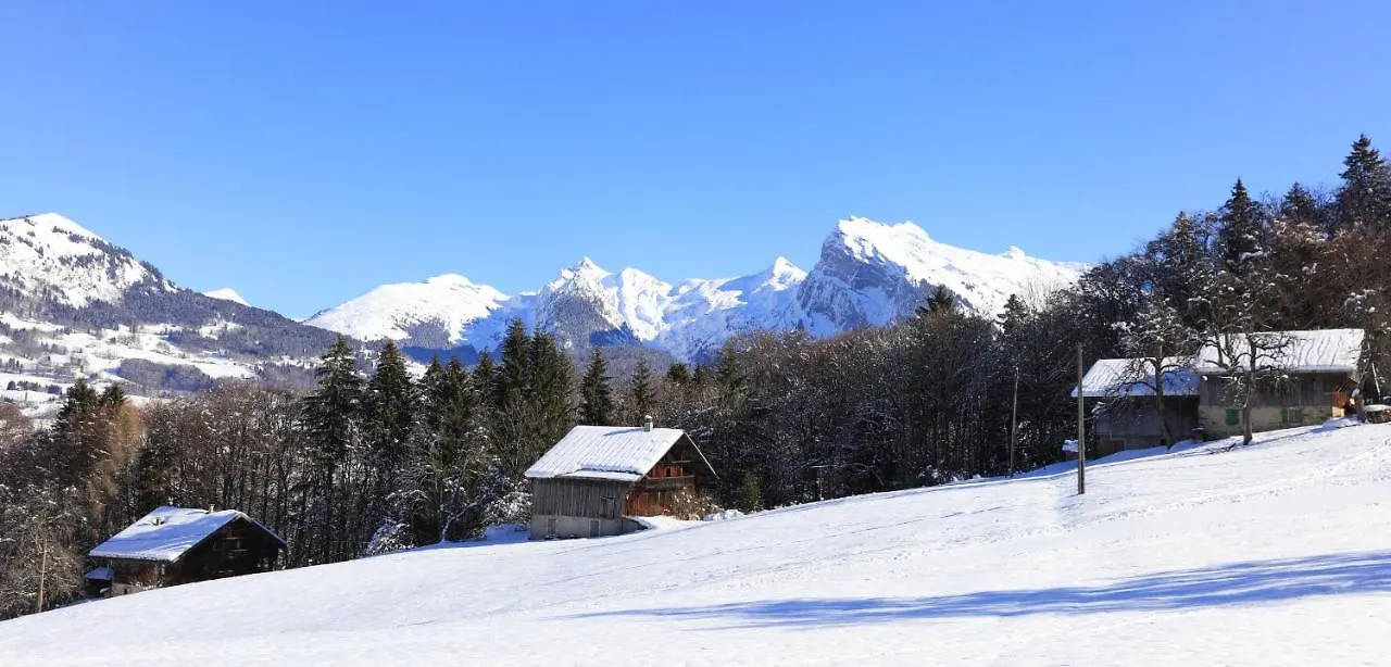 Grand Morillon - 104 - Montagne Belle Vue Studio 4 France